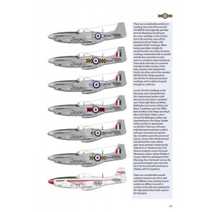 MUSTANG Return to Flight